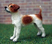 Jack Russell 