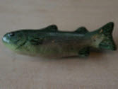  Fisch Forelle 