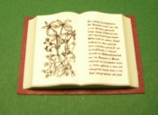 Buch geöffnet 