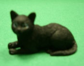 Katze schwarz liegt