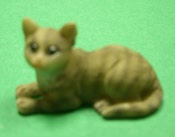 Katze grau liegt 