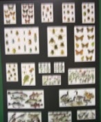Schautafel Set 