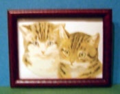 Babybild 2 Katzen 