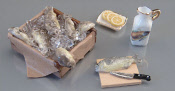 Fischkiste mit Fisch 